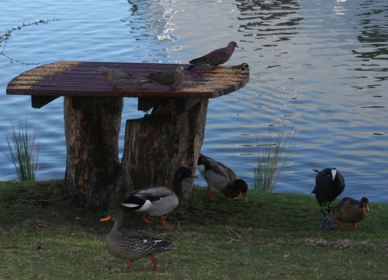 Vlei Cove Guesthouse Cape Town Eksteriør bilde